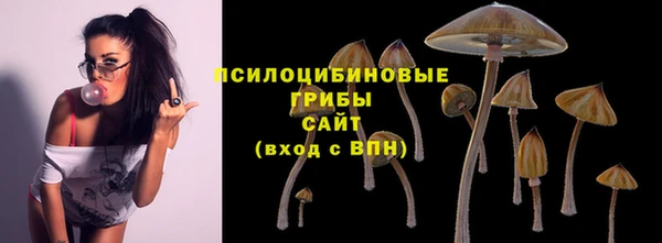 герыч Балахна