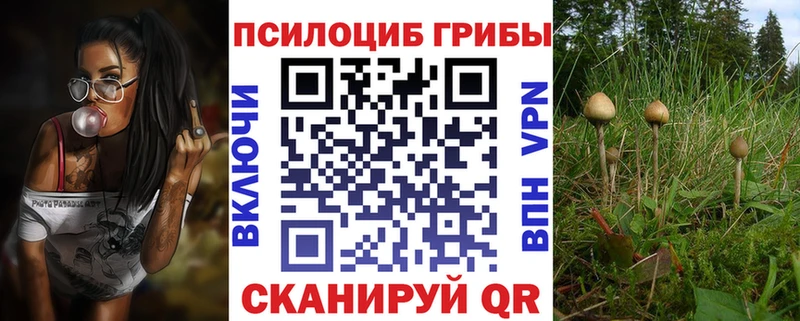 Галлюциногенные грибы мицелий Белоозёрский